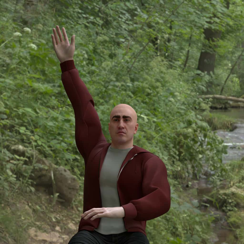 raise_hand