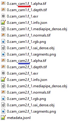 Downloaded file names have the camera names in them to differentiate between the same scene from different camera