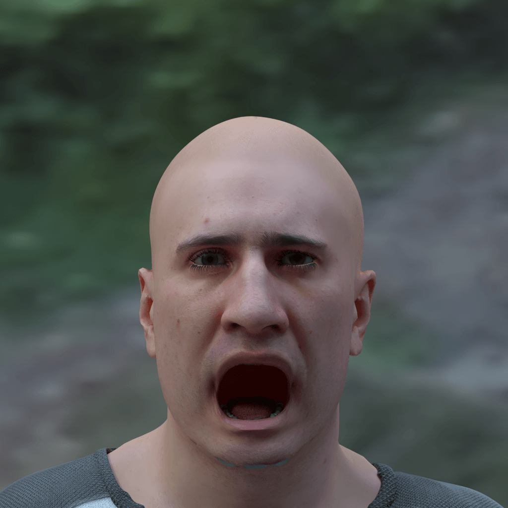 see_a_spider