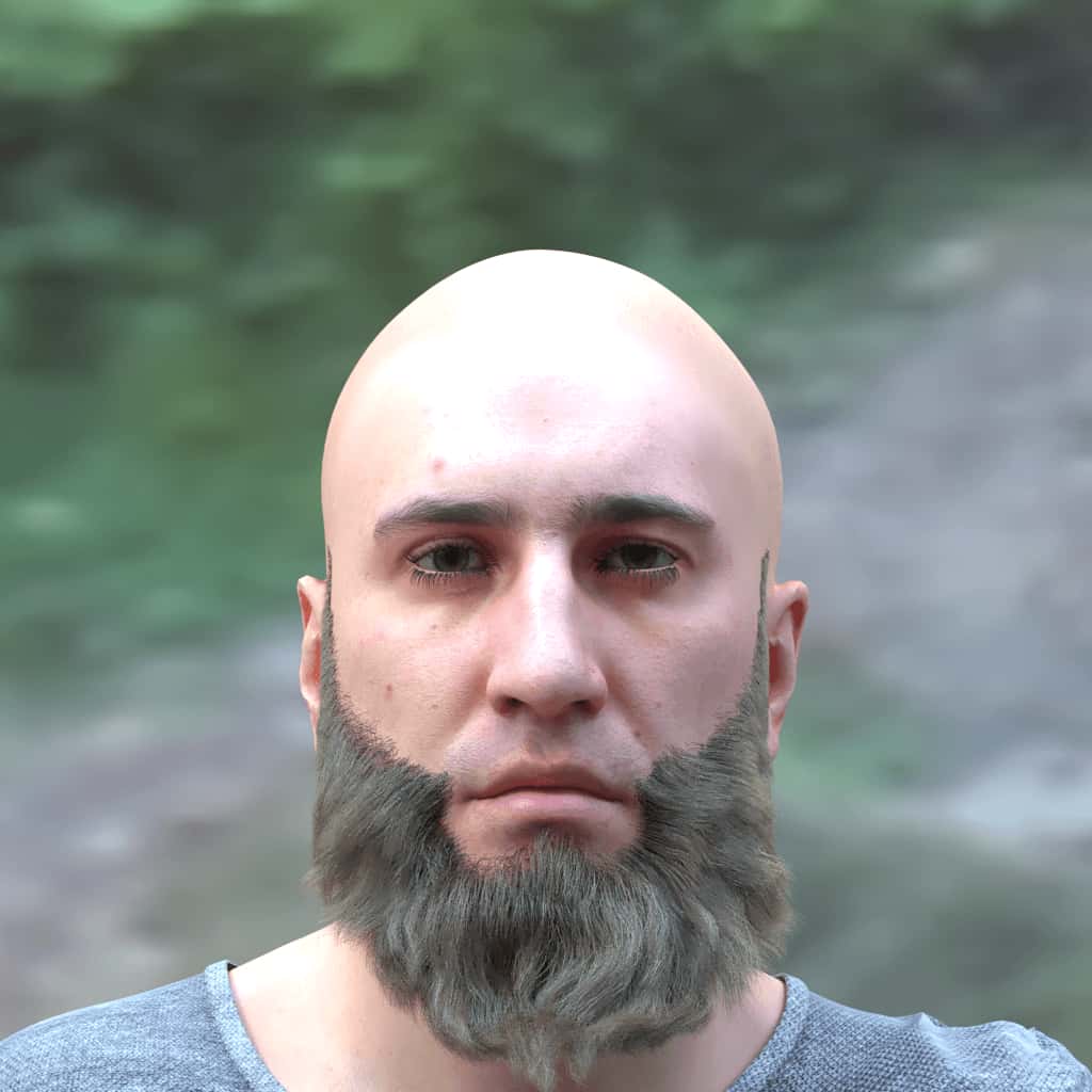 beard_ducktail, light_brown
