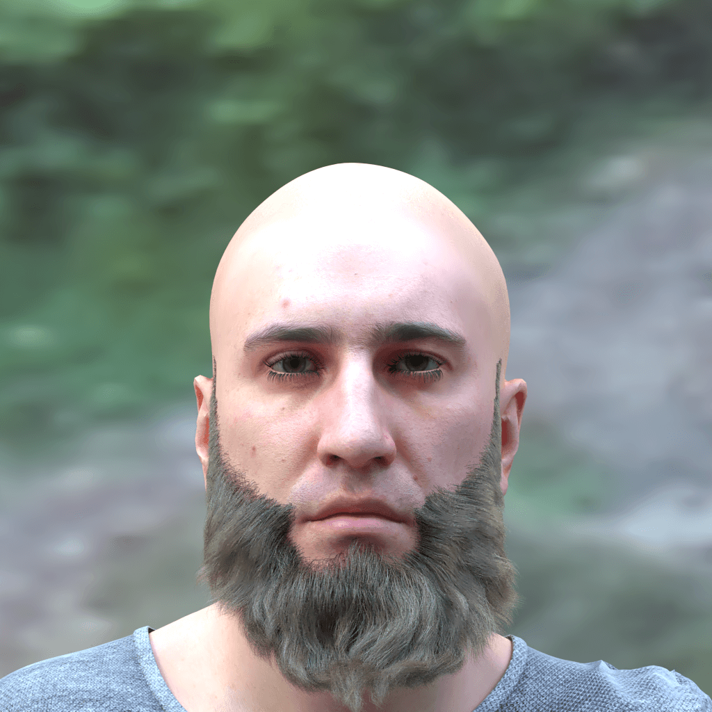 beard_ducktail, light_brown