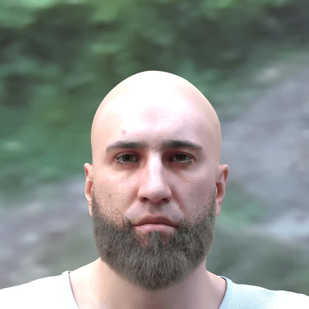 beard_dutch, chocolate_brown
