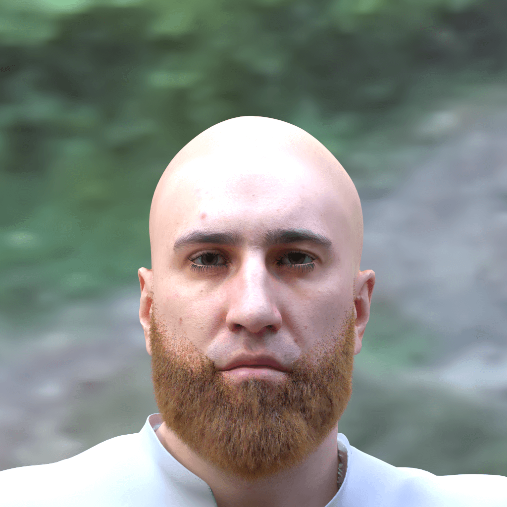beard_dutch, reddish_blonde